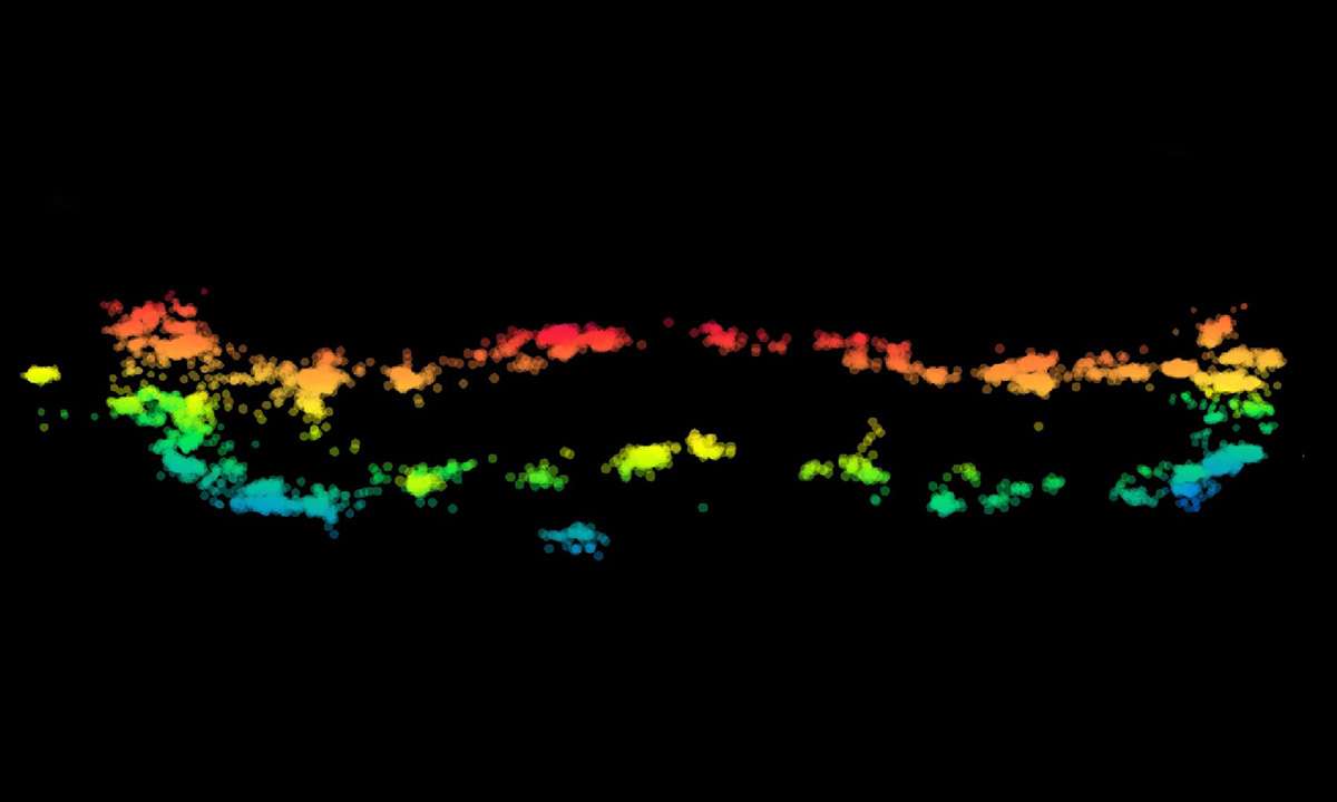 3D-Darstellung der molekularen Organisation von Stäbchen-Photorezeptorzellen