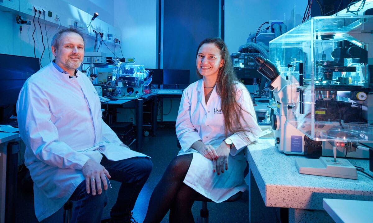 Retina-Organoide – Transdisziplinäres Forschungsprojekt der Universität Bonn ausgezeichnet