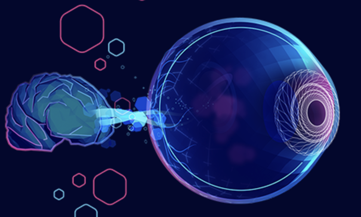 Transplantation of Human Eye Allografts (THEA) Program: Groundbreaking Investments to Develop Complete Eye Transplantation