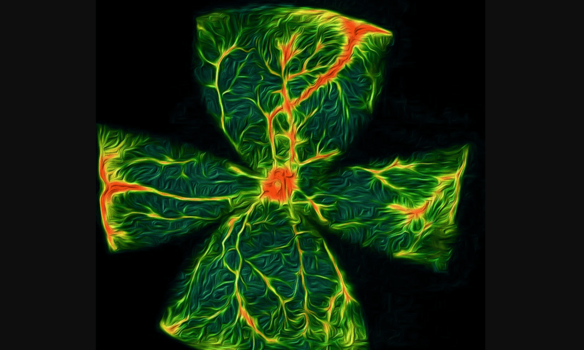 Diabetic Retinopathy: Hypoglycemia Contributes to Eye Damage and Vision Loss