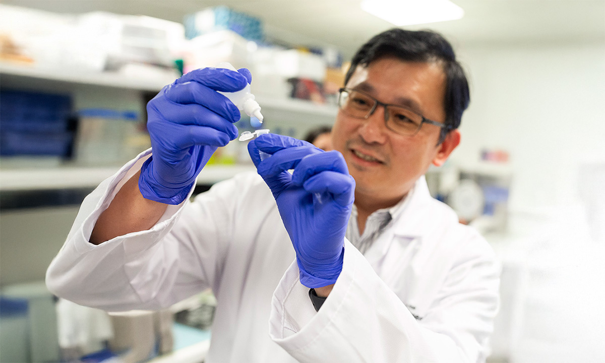 Blood cells offer new way to stop corneal damage