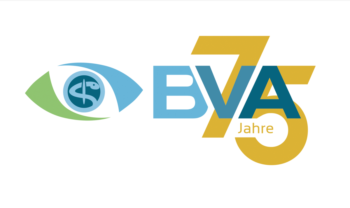 75 Jahre BVA: Stark für die Augenheilkunde – „Wir brauchen die ärztliche Selbstverwaltung“