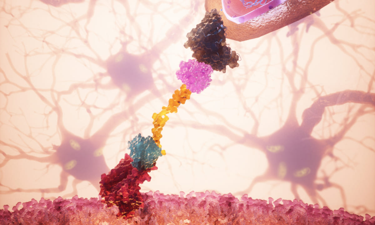 IOB: MitoCatch schleust Mitochondrien gezielt in Zellen ein
