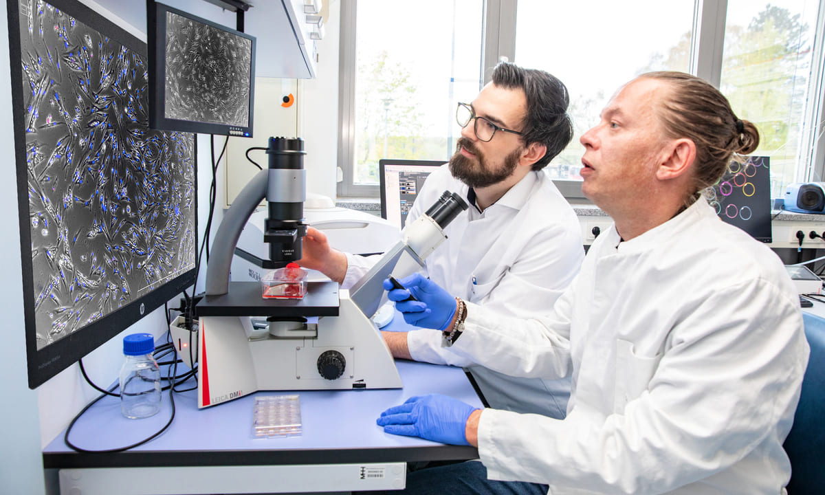 Millionenförderung für neuartiges Implantat gegen Grünen Star