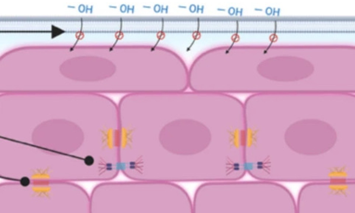Review zur minimalinvasiven Behandlung des Keratokonus