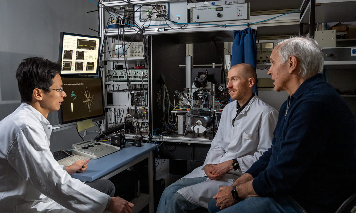 Wissenschaftlicher Disput gelöst: Beweis für Theorie der visuellen Wahrnehmung