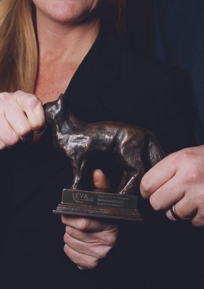 EYEFOX Video Award 2020